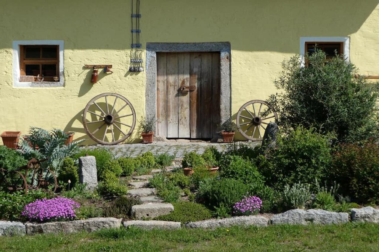 Ferienwohnung Schindler Nittenau Exterior foto